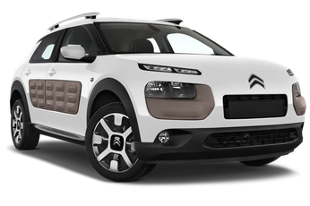 C4 Cactus